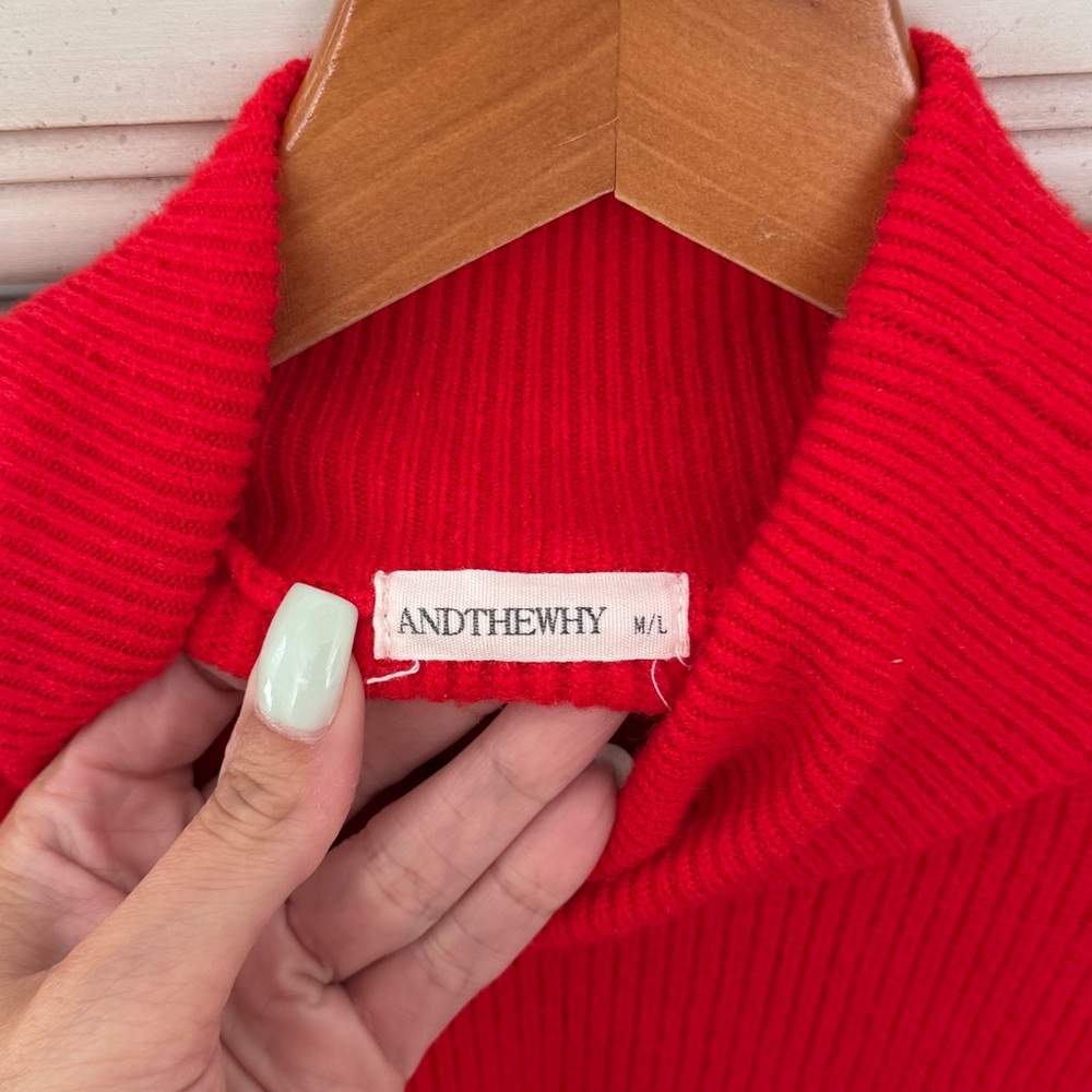Vici Red Turtleneck Sweater - Picture 4 of 6